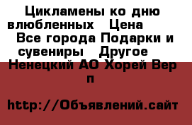 Цикламены ко дню влюбленных › Цена ­ 180 - Все города Подарки и сувениры » Другое   . Ненецкий АО,Хорей-Вер п.